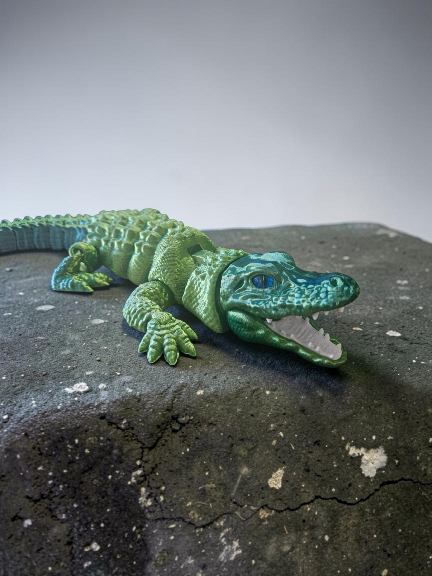Alligator flexi