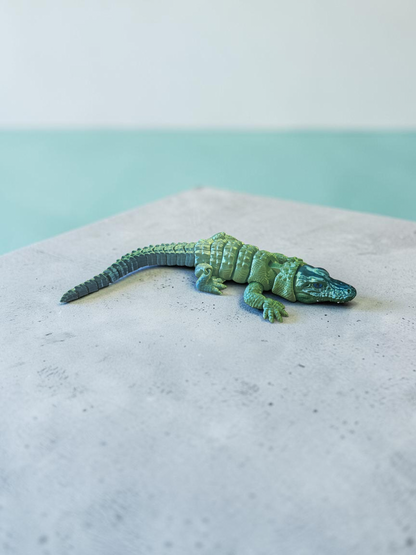 Alligator flexi