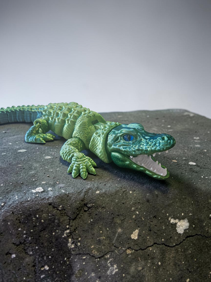 Alligator flexi